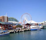 Navy Pier Cruises Chicago